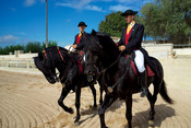 Cavall Menorquí